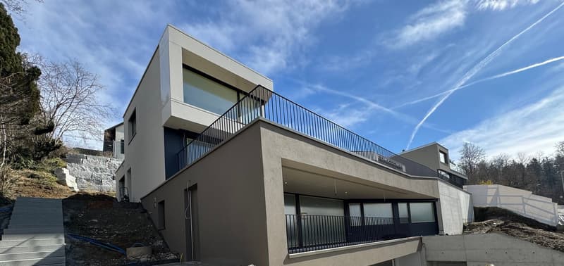 Erstbezug – moderne Terrassenwohnung am Sonnenhang von Wettswil (1)
