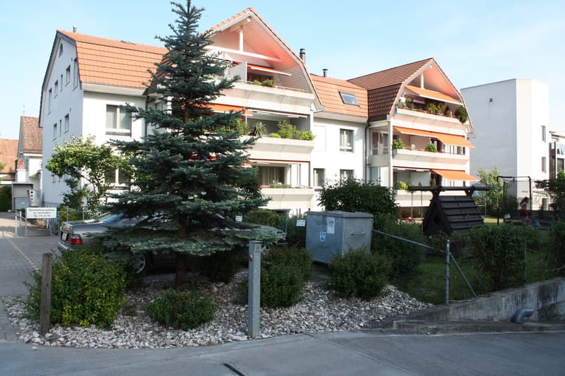 Autoeinstellhallenplätze und Garagenbox für Oldtimer im Zentrum von Reinach zu vermieten (1)