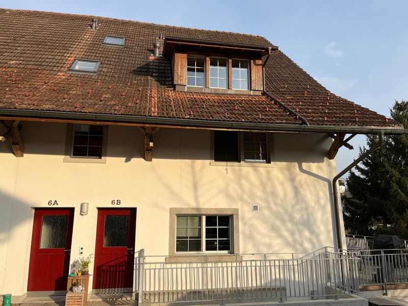 Duplex-/Maisonette-Wohnung in Grüningen (1)