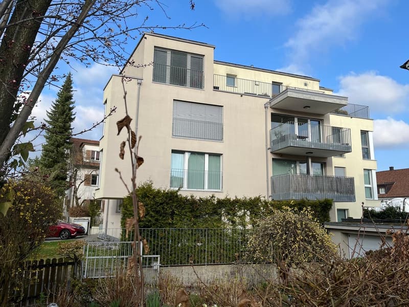 Traumhafte 6-Zimmer-Wohnung mit Charme an bester Lage in Zürich-Seebach (1)