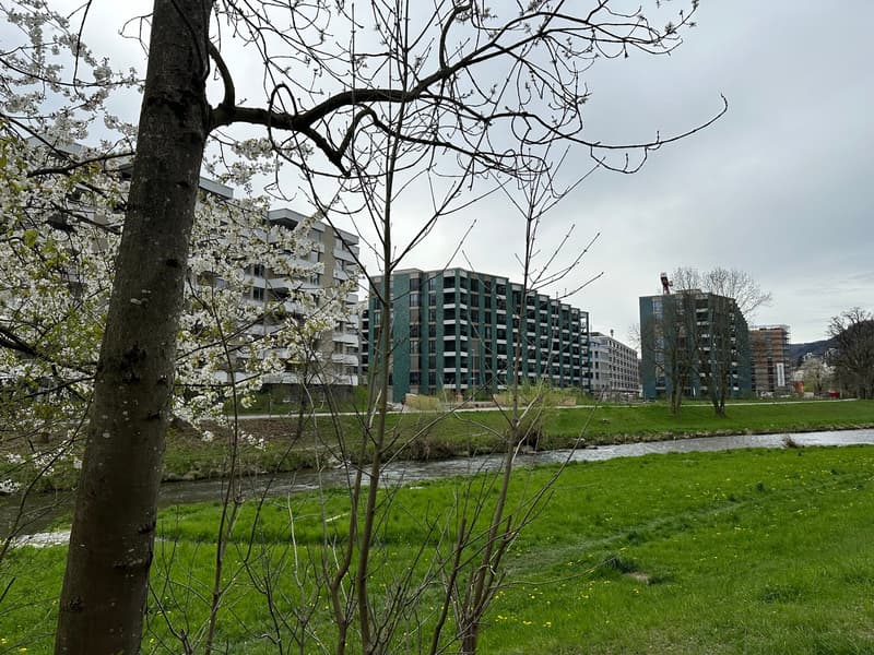 Live Zurich downtown within the embrace of nature! (1)