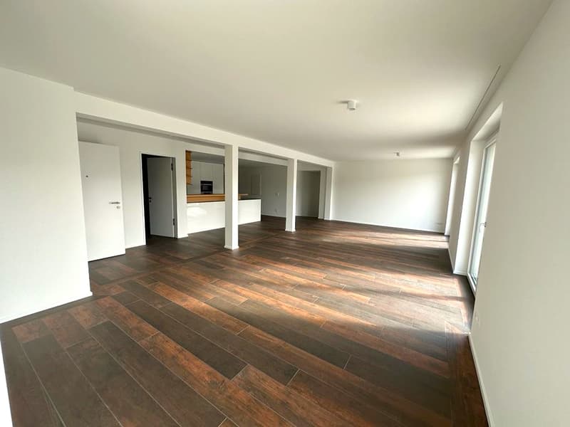 Exklusive 2.5 Zimmer-Parterre-Wohnung im Eigentumsstandard mit über 200m² Aussenbereich zu vermieten (1)
