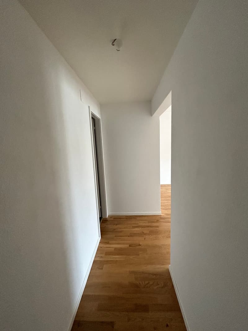 Wohnung in Basel (2)