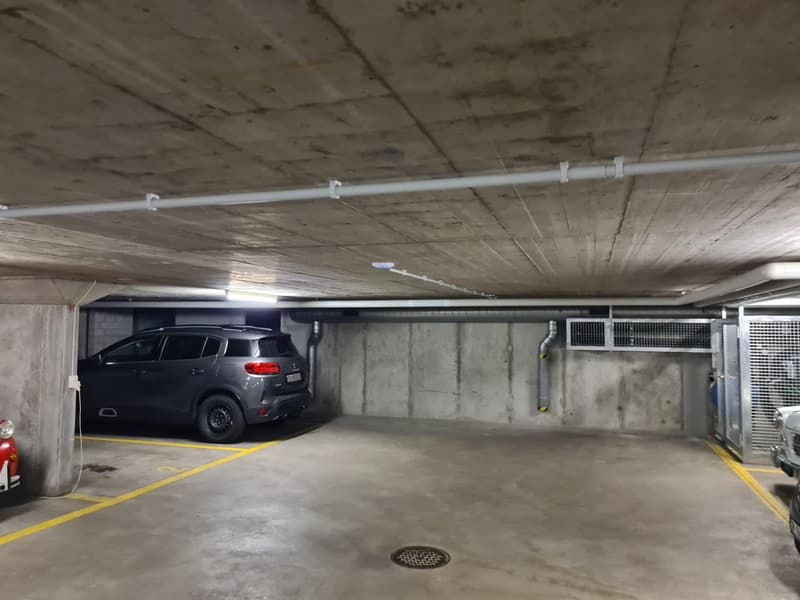 Parkplatz mit/ohne E-Ladestation (1)