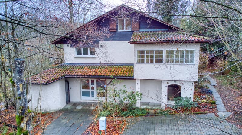5 Zimmer-Einfamilienhaus mit  1 ½ Zimmer-Einliegerwohnung im Grünen in Langnau am Albis (1)