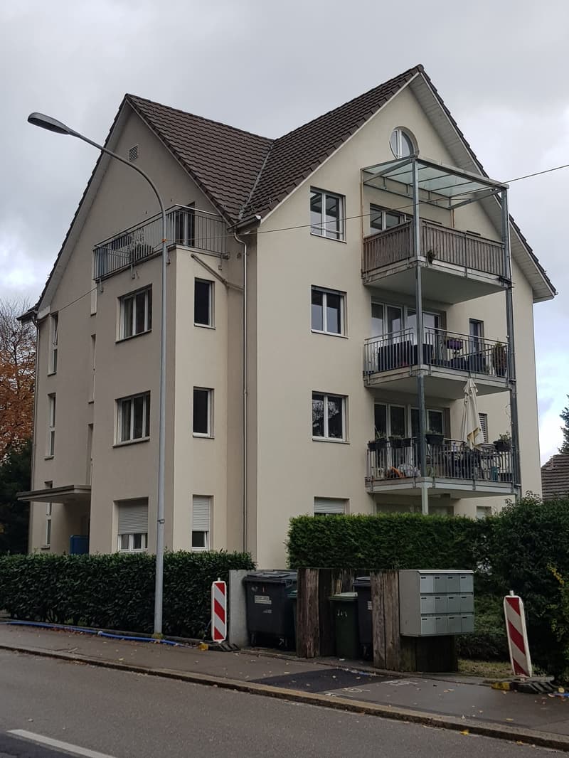 Familienfreundliche Wohnung, Zentral in Zürich Seebach (1)
