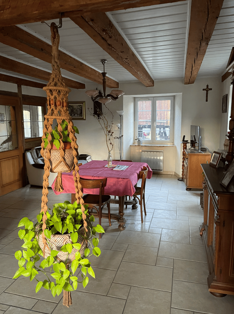 Einfamilienhaus mit Mühle / Maison avec moulin à huile (5)