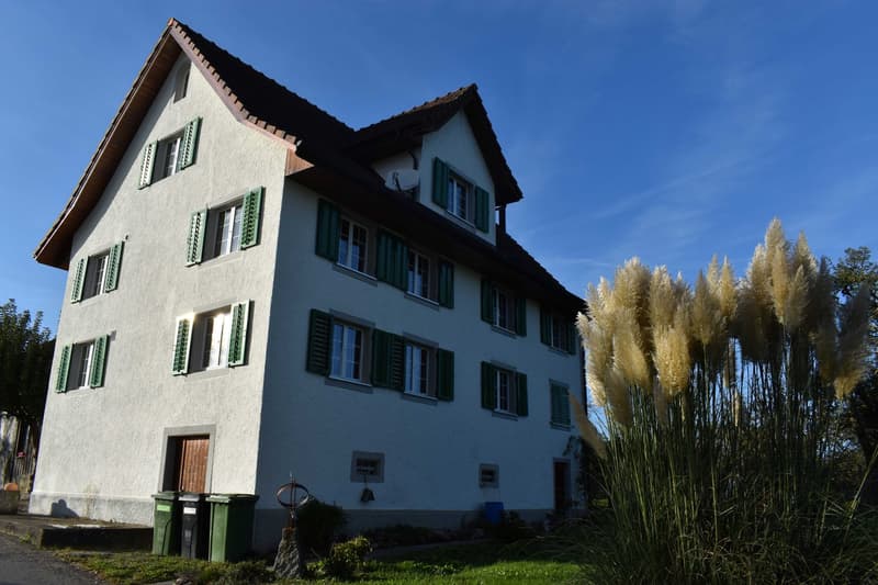 Wohnung in Schönenberg ZH (1)