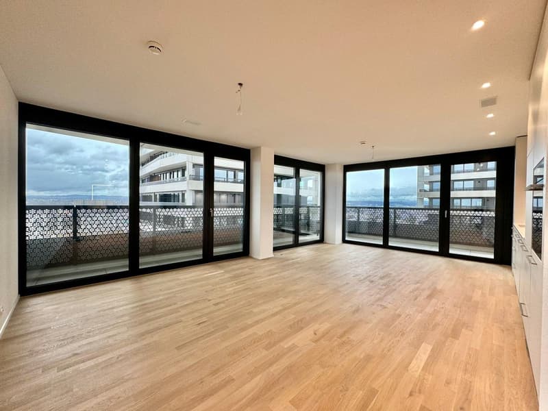 Erstvermietung: Helle grosszügige 3.5 Zimmer-Wohnung mit Panoramablick (1)