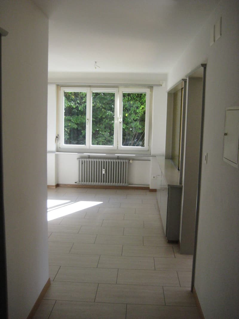3.5 Zimmer Wohnung in Frauenfeld (1)