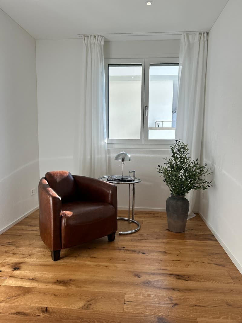 Leather chair, table, plant, large window, hardwood floor