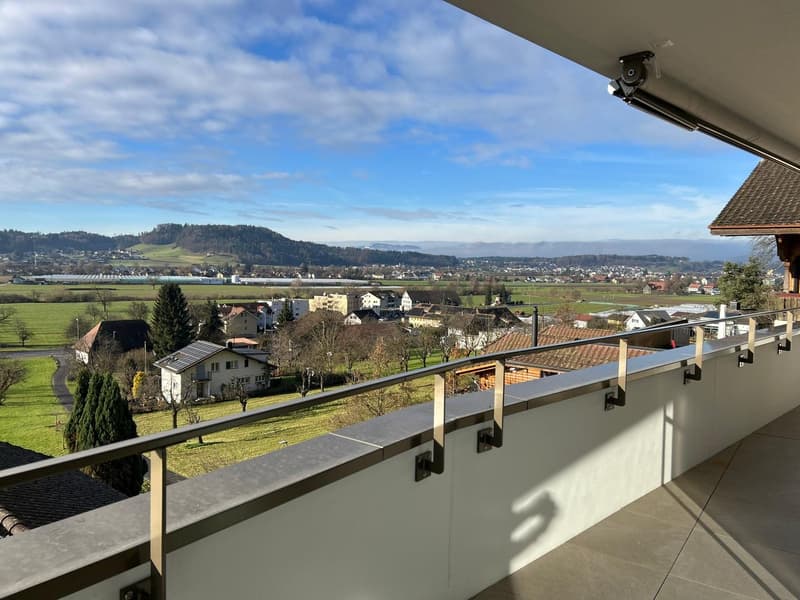 A balcony with railings overlooking a valley with a town and a river in the distance.