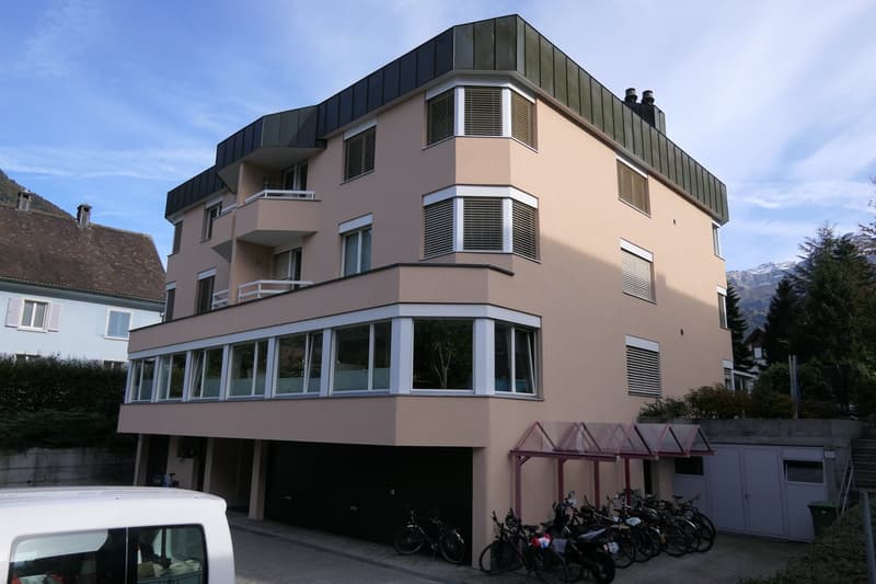 Büro in Altdorf UR (1)