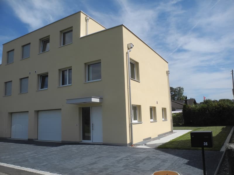 Sonniges, neues Doppeleinfamilienhaus in Rothrist (2)