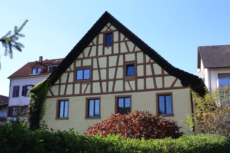 Dachwohnung in Hohentengen am Hochrhein (13)