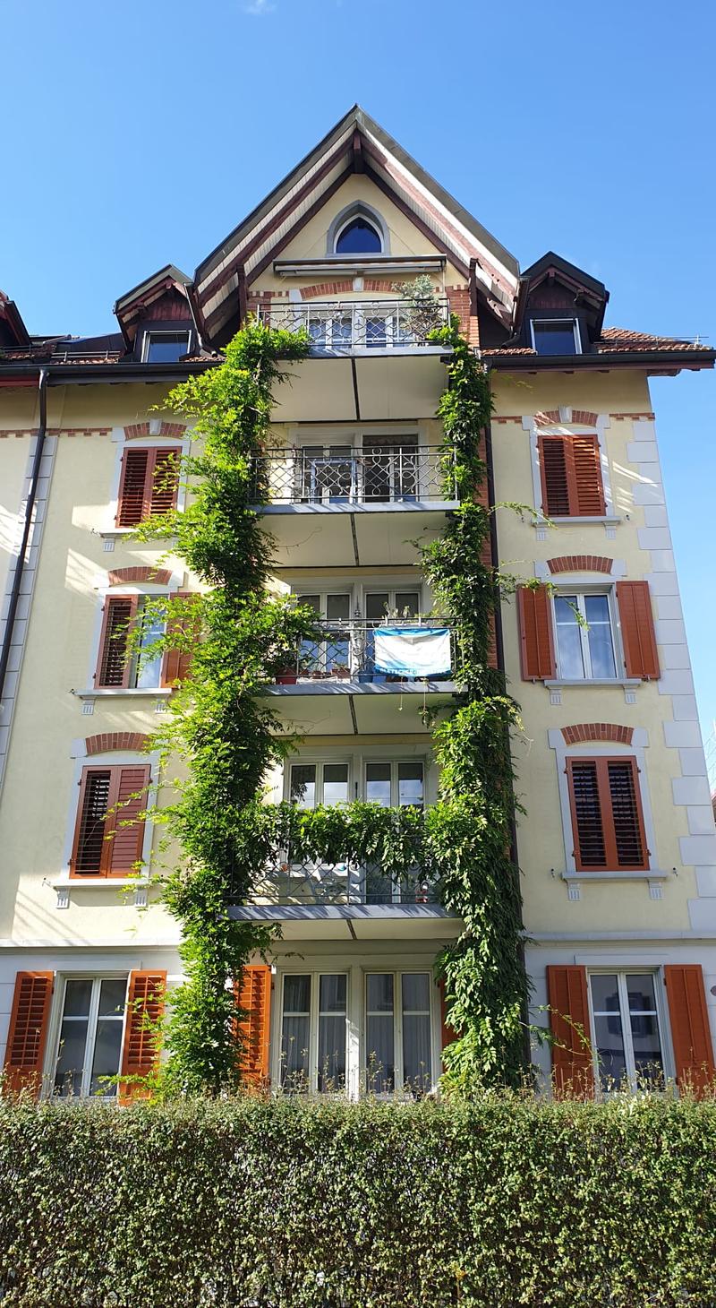 Dachwohnung in St. Gallen (1)