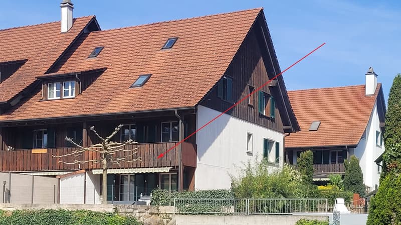 Geräumiges Haus im Grünen mit 300 m2 Nutzfläche in Niederhasli (1)