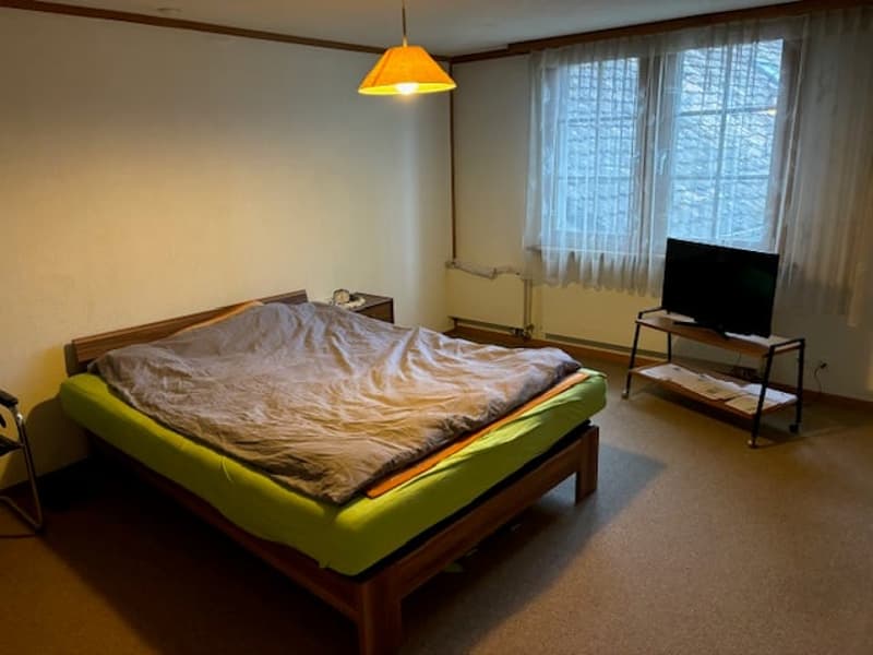3-Zimmer Wohnung an ruhiger Lage in Winterthur (2)