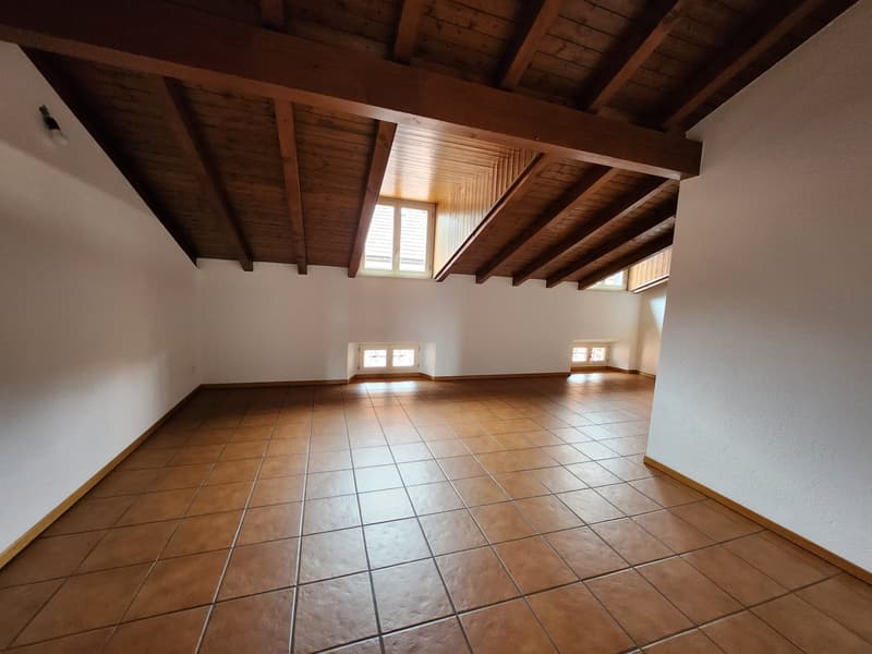 App. ultimo piano a Bellinzona-mansarda spaziosa e con soffitto molto alto (5)