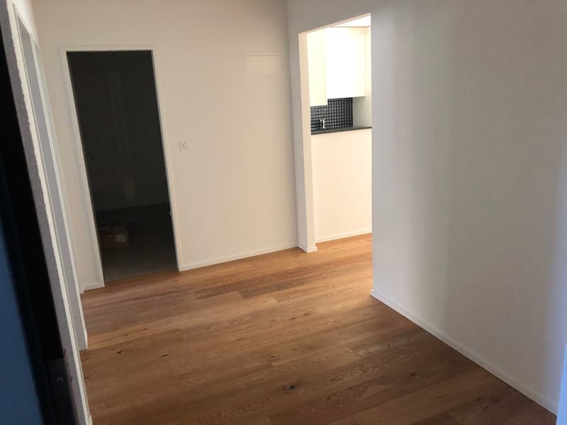 4.5 Zimmer Wohnung in Weiningen ZH (2)