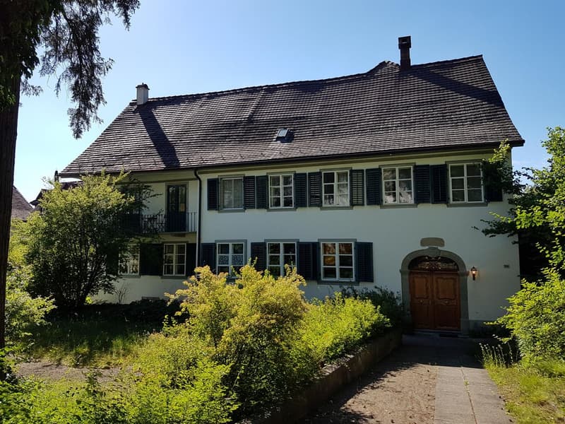 Renovierte 3½-Zimmer-Altbauwohnung in Steckborn am See (1)