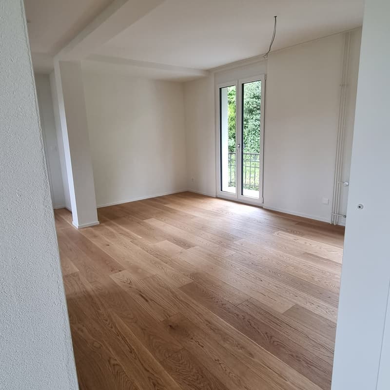 Schöne modernisierte Wohnung in Kilchberg ZH mit Seesicht (1)