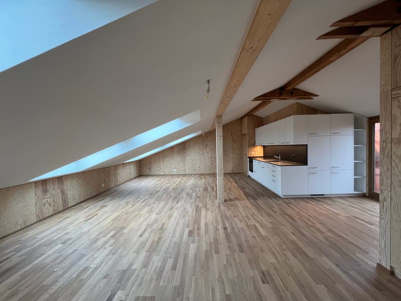 Dachwohnung Erstbezug Holzausbau nähe Rhein (1)