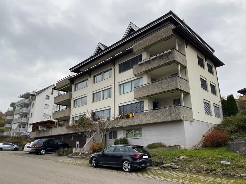 Schöne, solide, möblierte Wohnung mit Garage im steuergünstigen Freienbach (1)