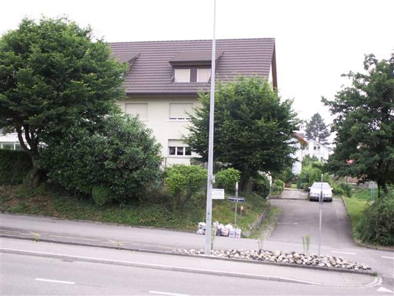 2 Zimmer-Dachwohnung in Liestal (1)