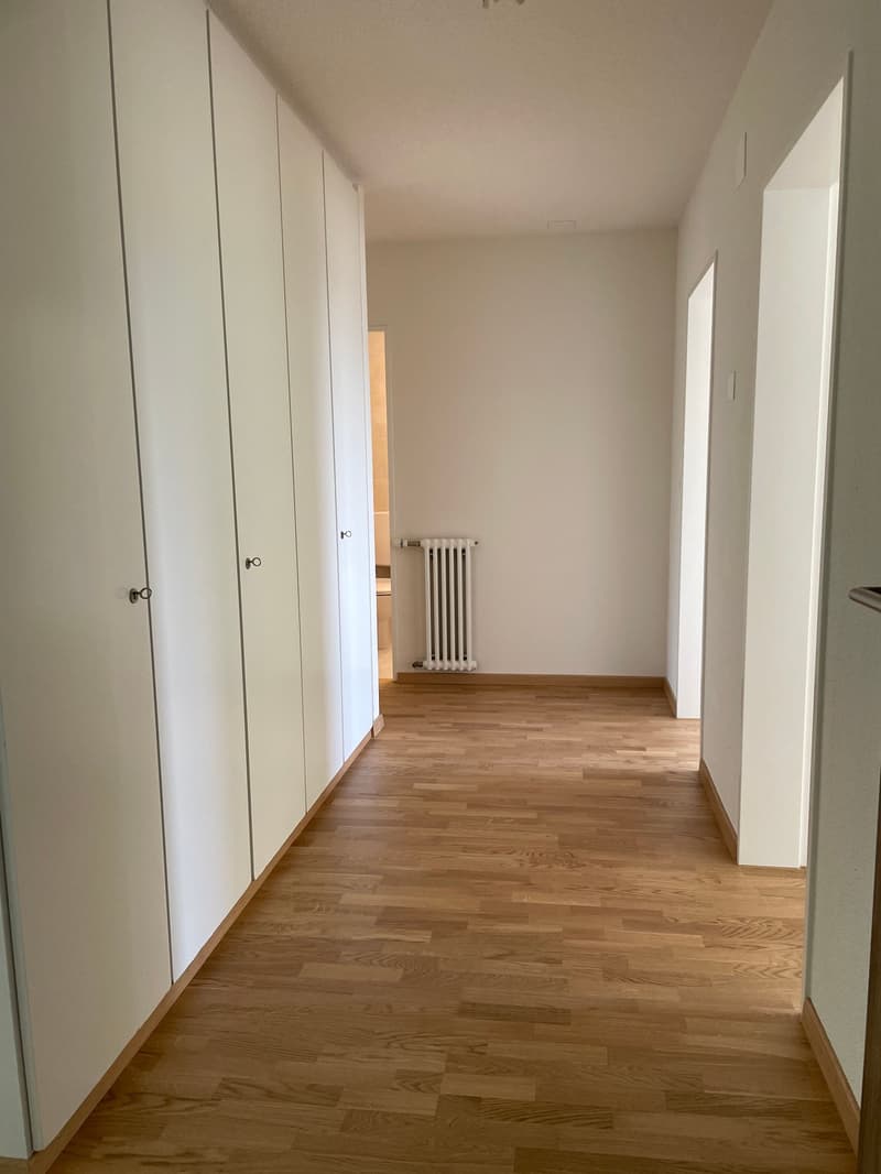 total renovierte  grosszügige 4 1/2 Zimmer-Wohnung in Dietikon (12)