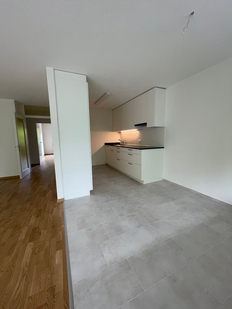 total renovierte  grosszügige 4 1/2 Zimmer-Wohnung in Dietikon (2)