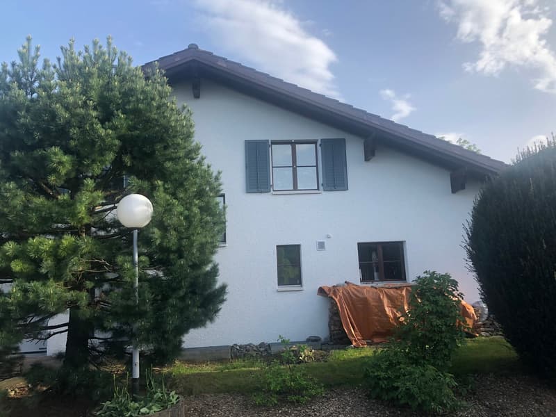 Einfamilienhaus in Widnau (2)