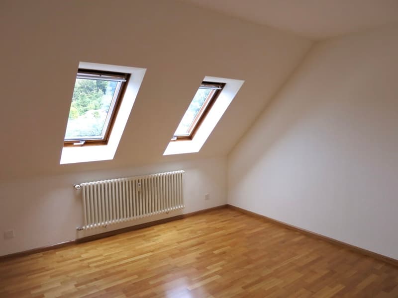 Sonnige Dachwohnung 120 m2 oberhalb Riehen im steuergünstigen 4126 Bettingen/Basel-Stadt (6)