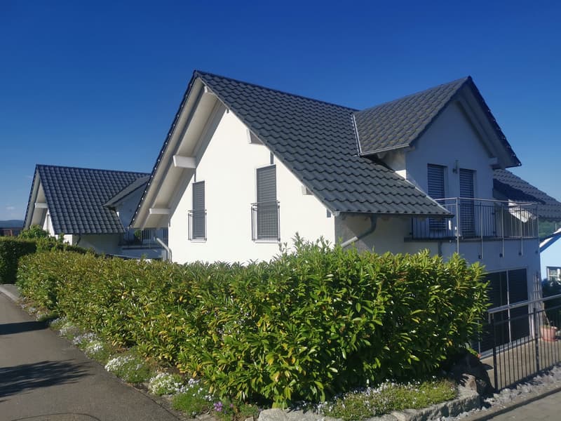 Einfamilienhaus in Rietheim bei Bad Zurzach (2)