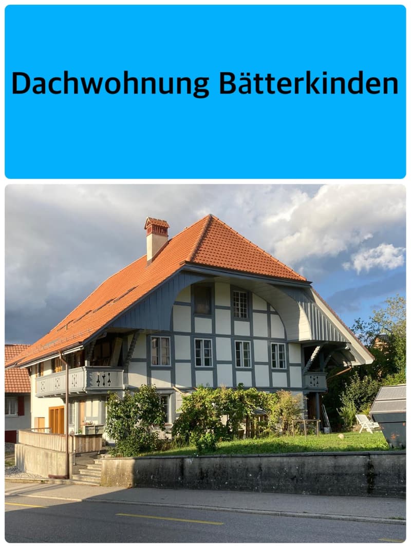 Dachwohnung mit Galerie in Bätterkinden (1)