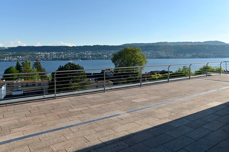 Terrassenwohnung mit einmaligem Panoramablick auf den See (2)