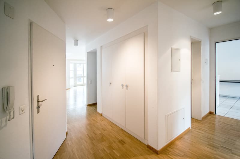 Attraktive 4.5 Zimmer Wohnung in ruhiger Seitenstrasse nahe Schützenmattpark (2)