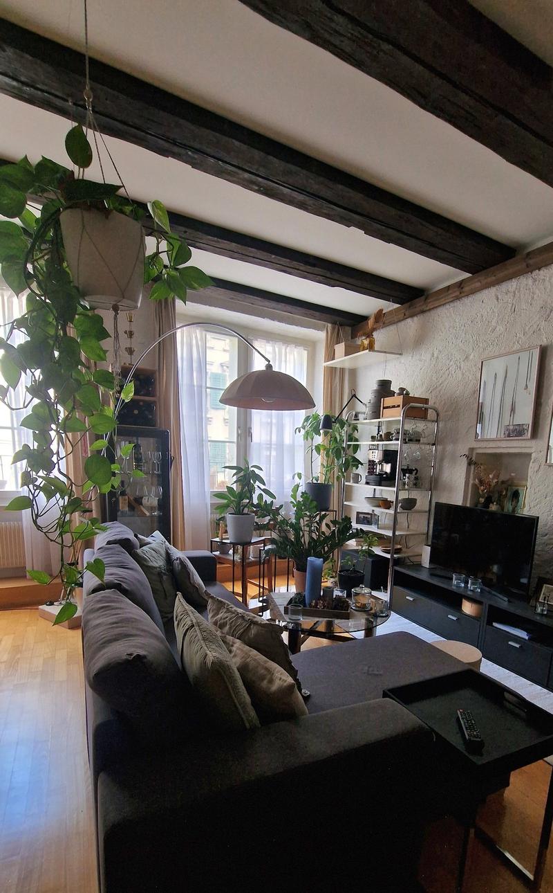 Gemütliche 2.5-Zimmer-Wohnung in der Berner Altstadt – Möbliert und zeitlich begrenzt (1)