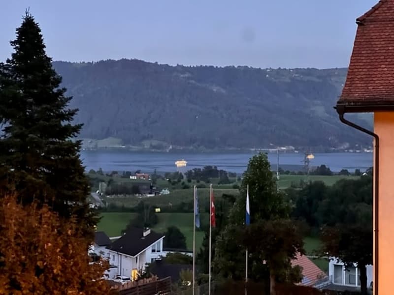 Views of Lake Zug from balcony