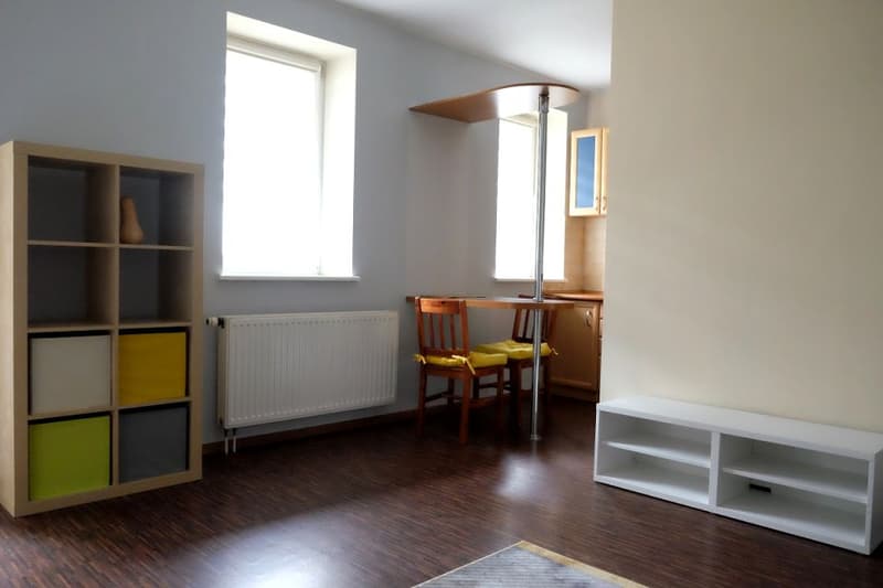 Grosse 2.5 Zimmer-Wohnung in Zürich (2)