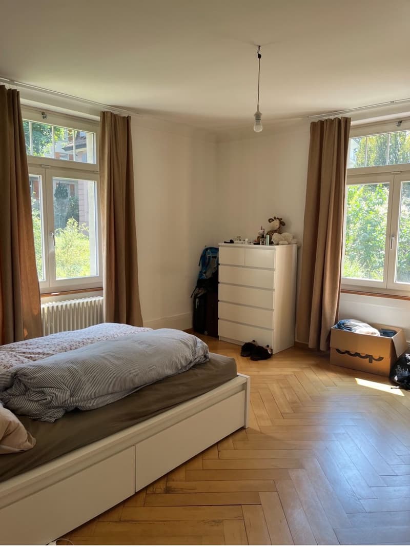 Temporary furnished sublet 5.5 room apartment (June - July) Kreis 8 (5)