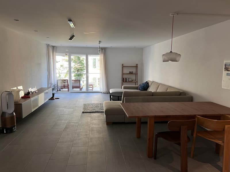 Beautiful apartment in Lausanne for rent (1)