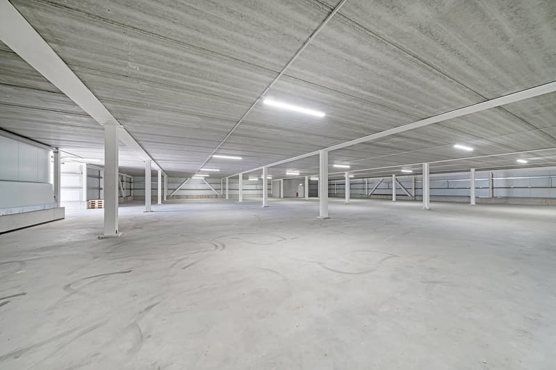 Gepflegtes Lagergebäude mit 4'034 m² Lagerfläche im Baurecht (2)