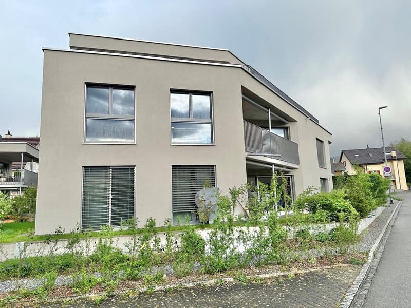 Moderne Neubau-Eigentumswohnung in Ehrendingen (1)