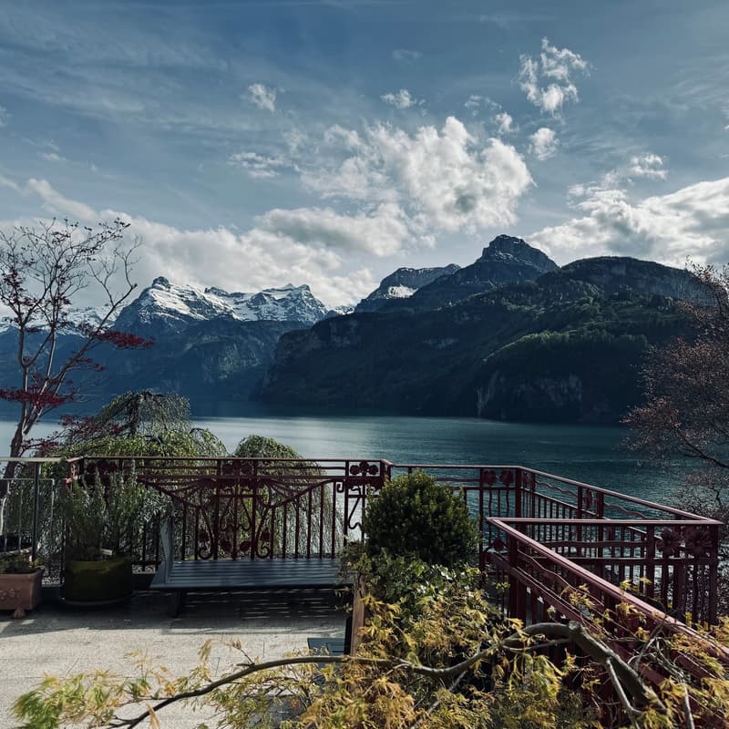 Lake view, mountains in the background, decorative metal fencing, wooden bench, plants and trees