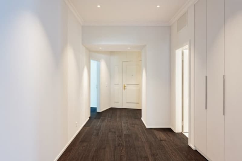 Clean, modern hallway with white walls, dark wooden flooring, recessed lighting, and built-in white closet doors.