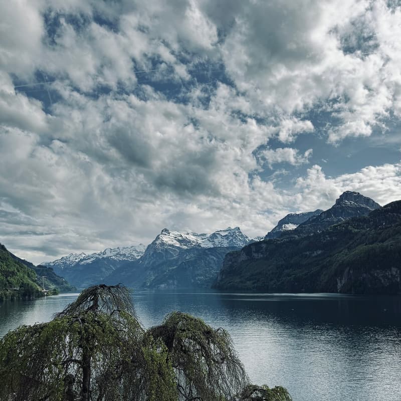 Large lake, mountains with snow, trees, sky with clouds