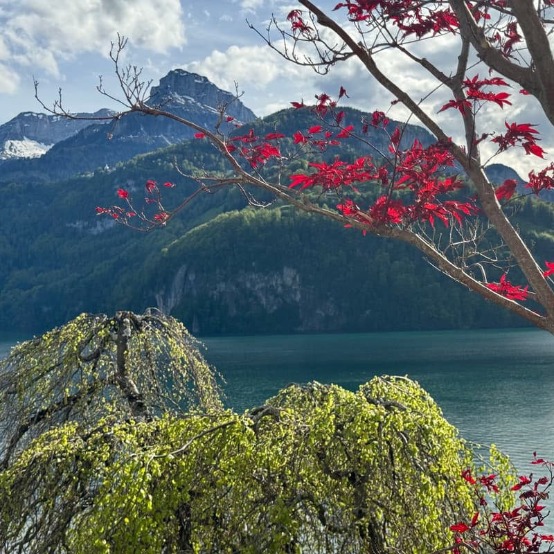 Lake surrounded by mountains, trees with red leaves, sky with clouds