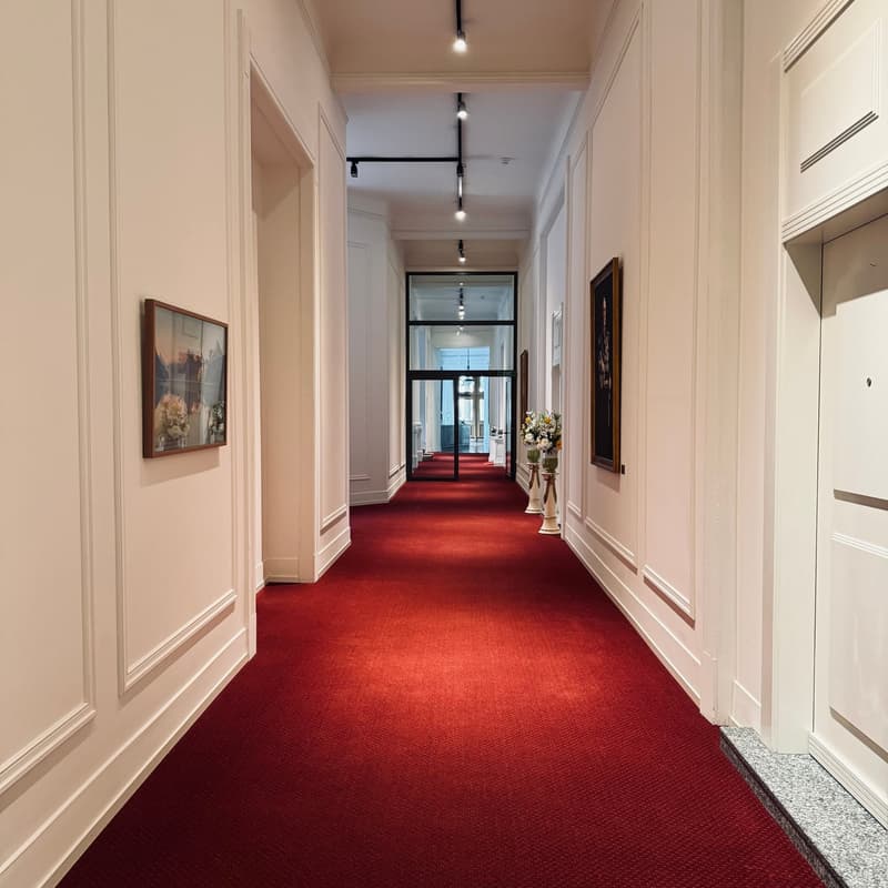 Long hallway with white walls, red carpet, decorative pictures, vases with flowers, and lit ceiling lights.