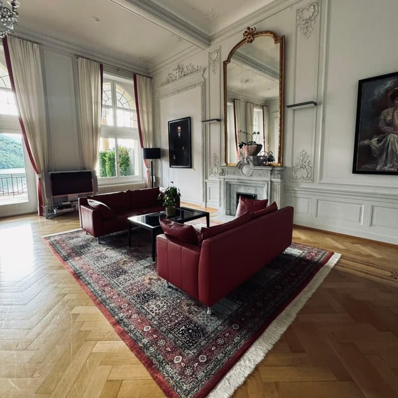 red couches, fireplace, large windows, rug, television, coffee table, art pieces